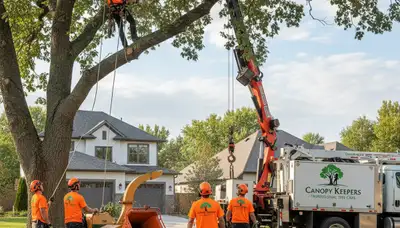 Professional tree removal service in Cleveland, OH by Chop Chop Tree experts