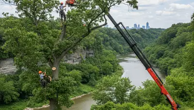 Professional tree removal service in Cleveland, OH safely cutting and hauling large oak trees